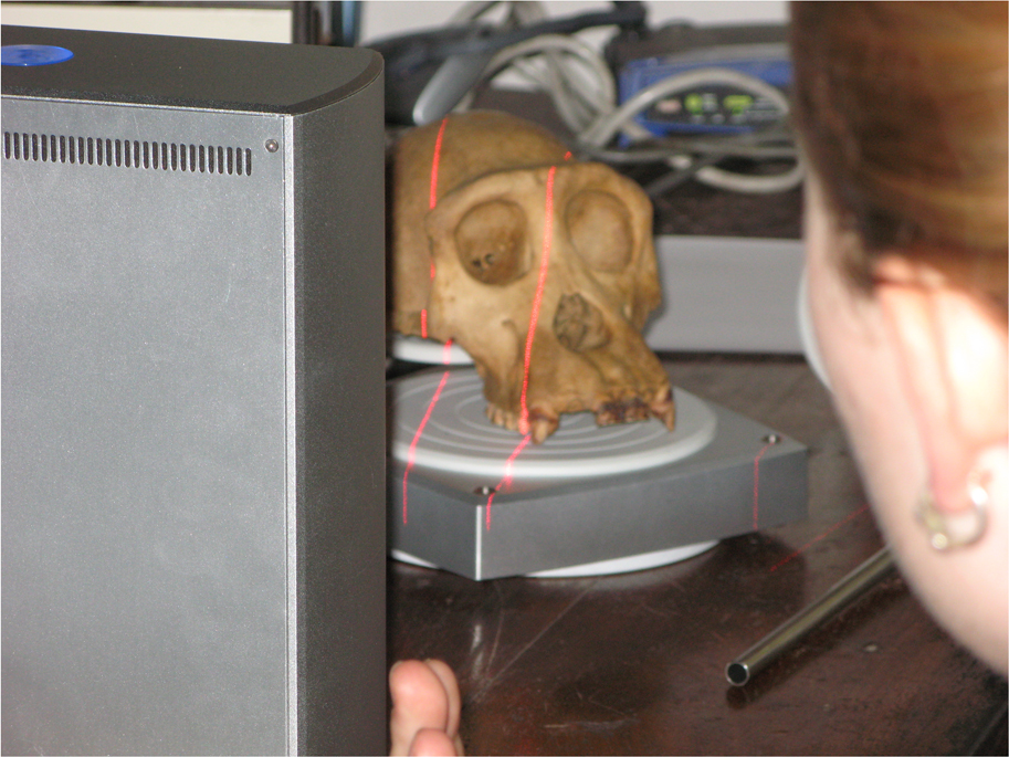 Claire laser scanning chimpanzee skull at Gombe