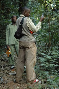 Deus taking a GPS point on a vegetation plot in Gombe.