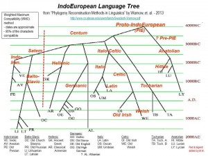 http://www.hartleyfamily.org.uk/IE_Language_Tree_by_Warnow.jpg