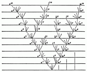 Dawin's Tree