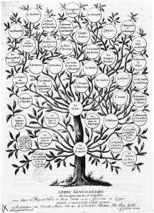 Tree of Languages by Félix Gallet, c. 1800